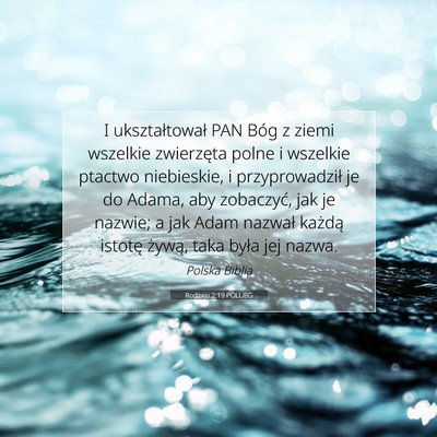 Rodzaju 2:19 Werset Biblijny Wyjaśniony