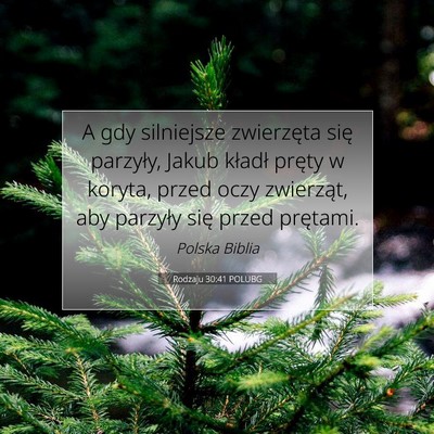 Rodzaju 30:41 Werset Biblijny Wyjaśniony
