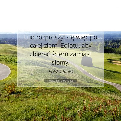 Wyjścia 5:12 Werset Biblijny Wyjaśniony