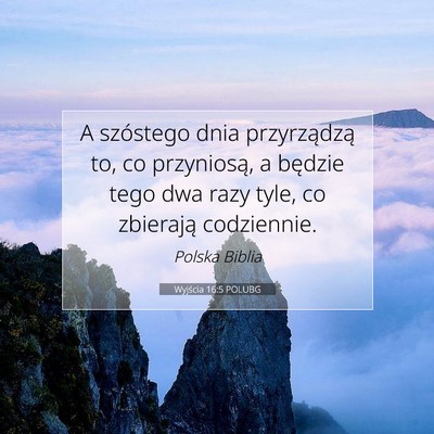 Wyjścia 16:5 Werset Biblijny Wyjaśniony