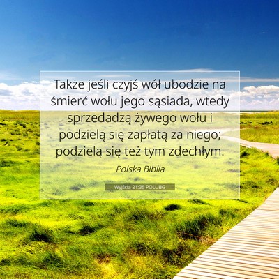 Wyjścia 21:35 Werset Biblijny Wyjaśniony
