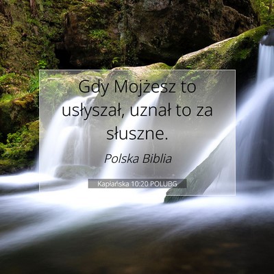 Kapłańska 10:20 Werset Biblijny Wyjaśniony