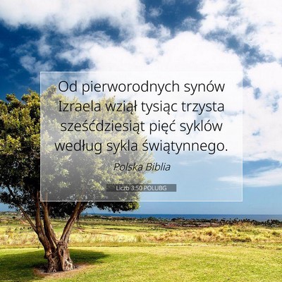 Liczb 3:50 Werset Biblijny Wyjaśniony