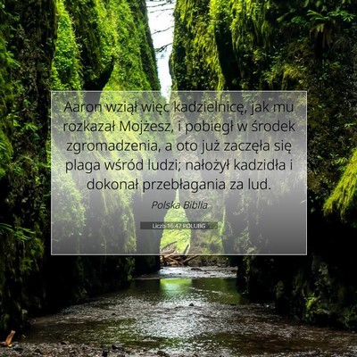 Liczb 16:47 Werset Biblijny Wyjaśniony