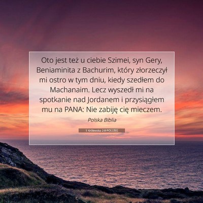 1 Królewska 2:8 POLUBG Obraz Wersetu Biblijnego