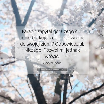 1 Królewska 11:22 Werset Biblijny Wyjaśniony