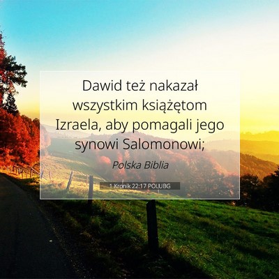 1 Kronik 22:17 POLUBG Obraz Wersetu Biblijnego