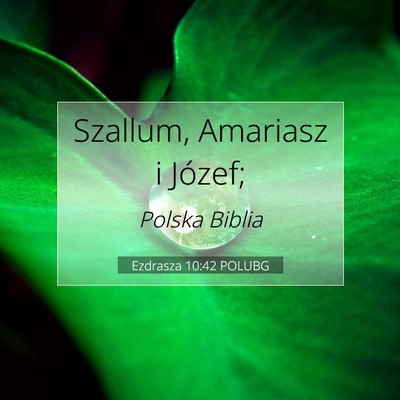 Ezdrasza 10:42 Werset Biblijny Wyjaśniony