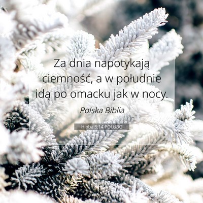 Hioba 5:14 POLUBG Obraz Wersetu Biblijnego