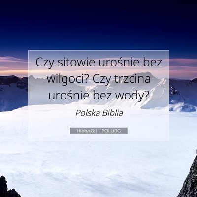 Hioba 8:11 POLUBG Obraz Wersetu Biblijnego