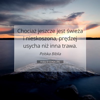 Hioba 8:12 POLUBG Obraz Wersetu Biblijnego