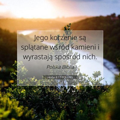 Hioba 8:17 Werset Biblijny Wyjaśniony