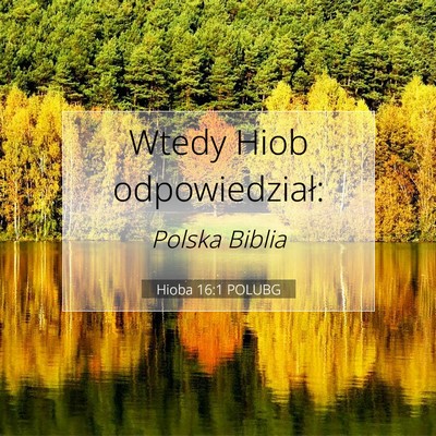 Hioba 16:1 Werset Biblijny Wyjaśniony