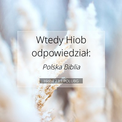 Hioba 23:1 Werset Biblijny Wyjaśniony