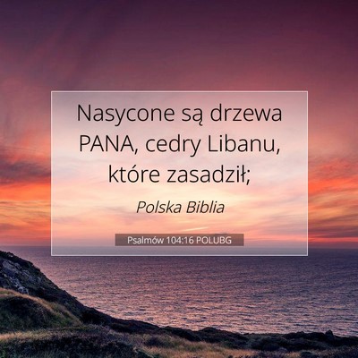 Psalmów 104:16 Werset Biblijny Wyjaśniony