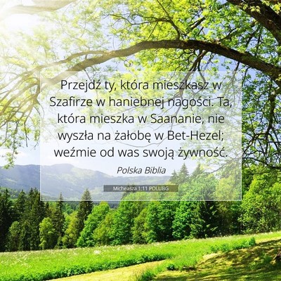 Micheasza 1:11 Werset Biblijny Wyjaśniony
