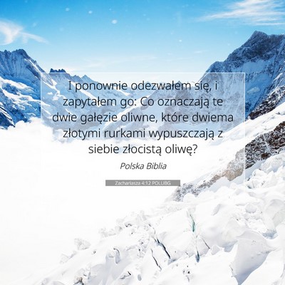Zachariasza 4:12 POLUBG Obraz Wersetu Biblijnego