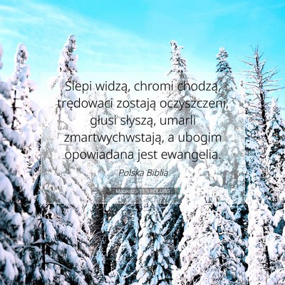 Mateusza 11:5 Werset Biblijny Wyjaśniony