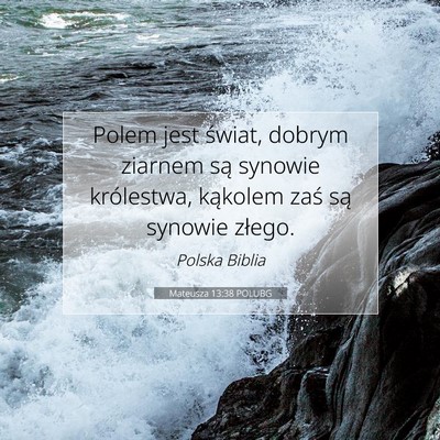 Mateusza 13:38 Werset Biblijny Wyjaśniony
