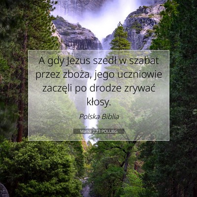 Marka 2:23 POLUBG Obraz Wersetu Biblijnego