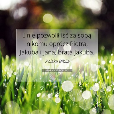 Marka 5:37 POLUBG Obraz Wersetu Biblijnego