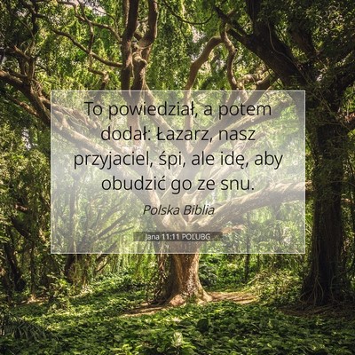 Jana 11:11 POLUBG Obraz Wersetu Biblijnego