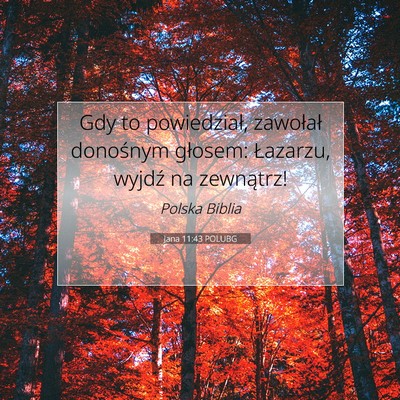 Jana 11:43 POLUBG Obraz Wersetu Biblijnego