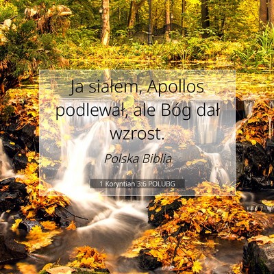 1 Koryntian 3:6 POLUBG Obraz Wersetu Biblijnego