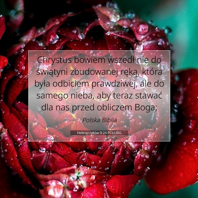 Hebrajczyków 9:24 POLUBG Obraz Wersetu Biblijnego